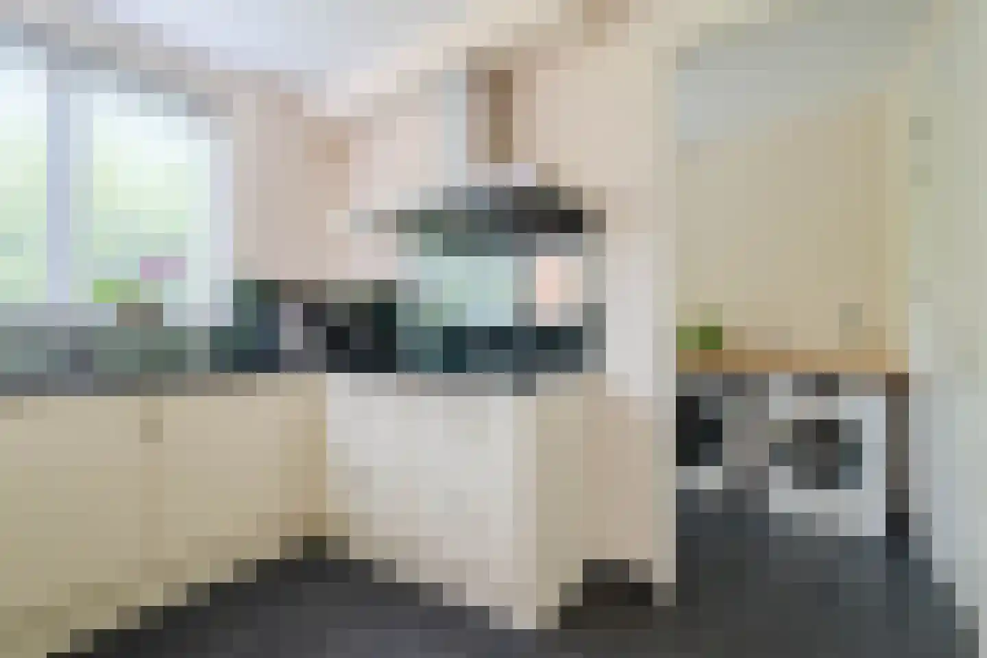Buizerdlaan 6 Venray thumbnail 23