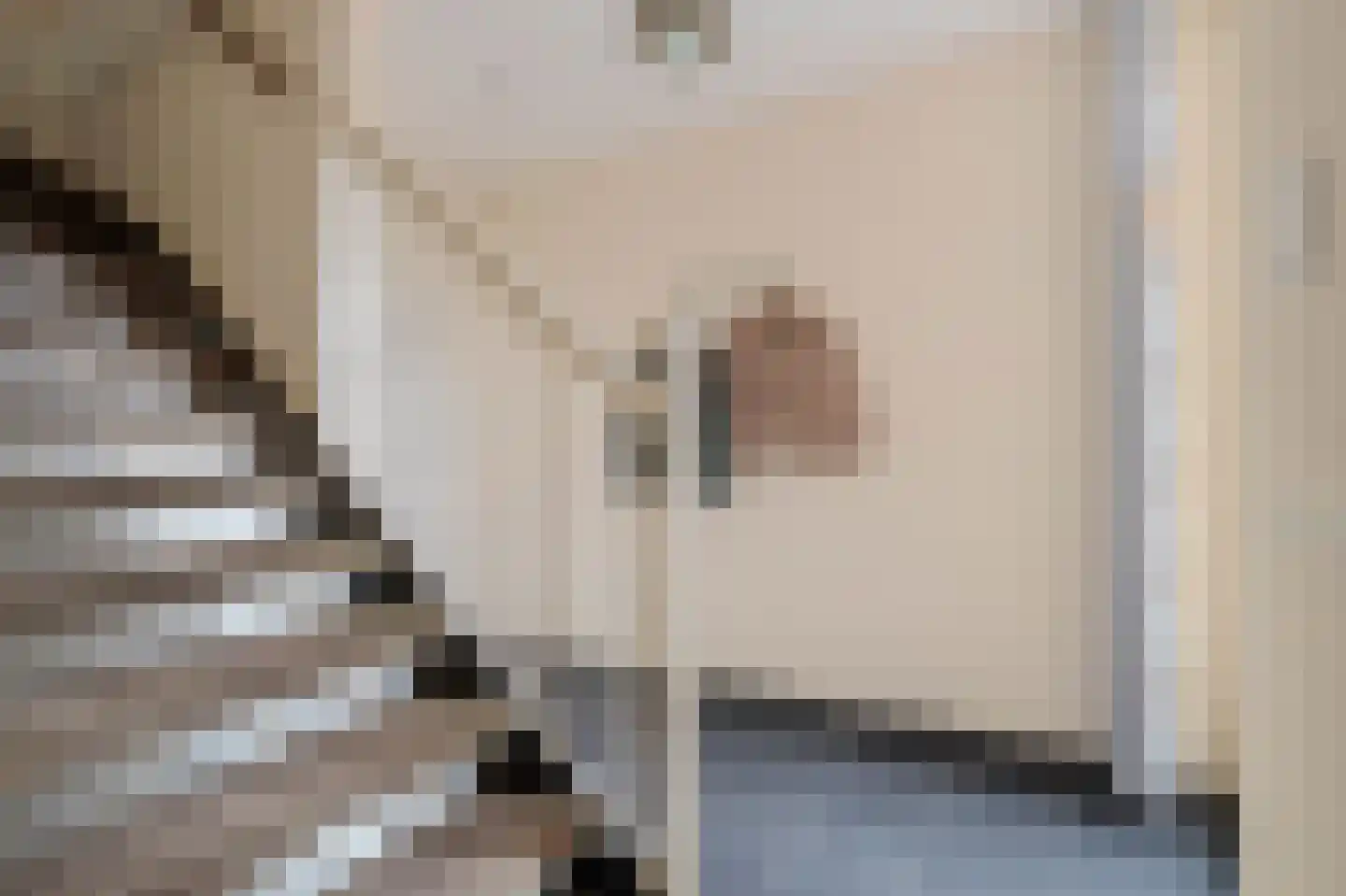 Buizerdlaan 6 Venray thumbnail 27