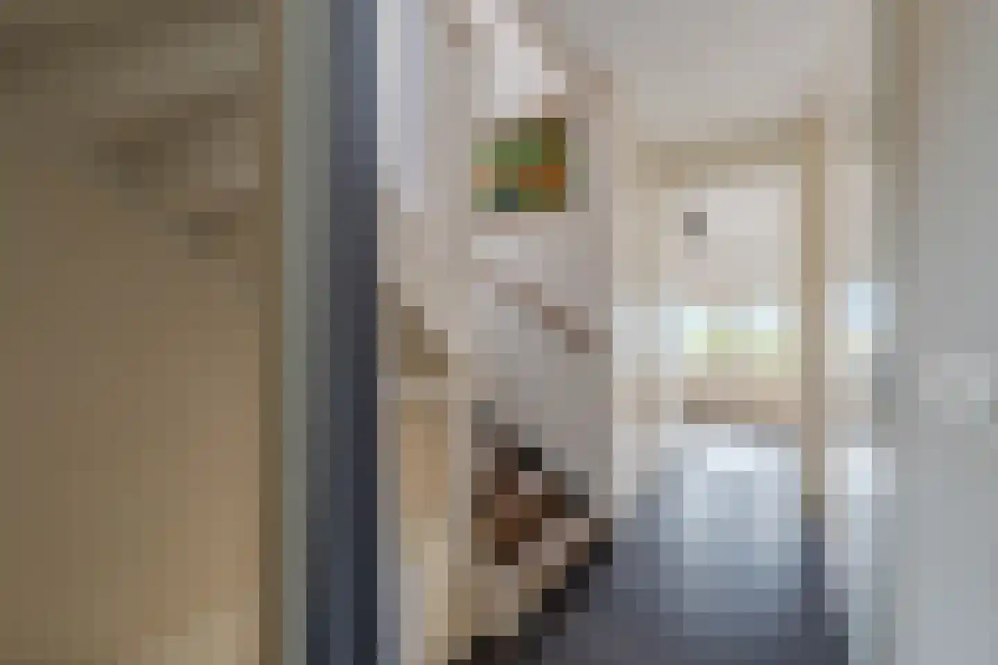 Buizerdlaan 6 Venray thumbnail 28
