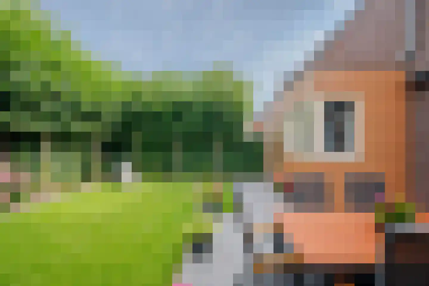 Buizerdlaan 6 Venray thumbnail 45