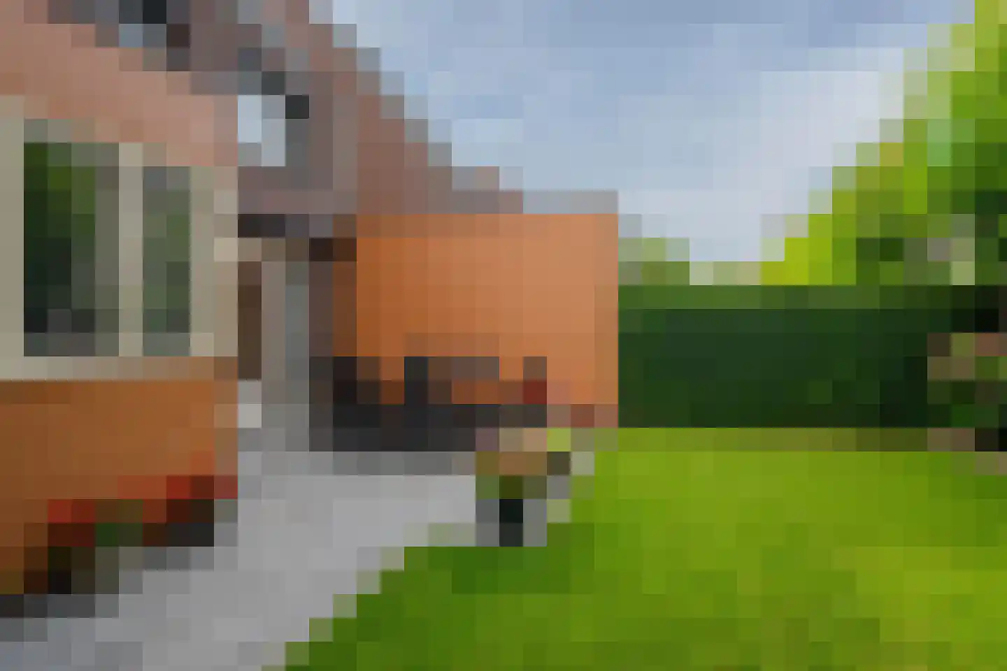 Buizerdlaan 6 Venray thumbnail 48