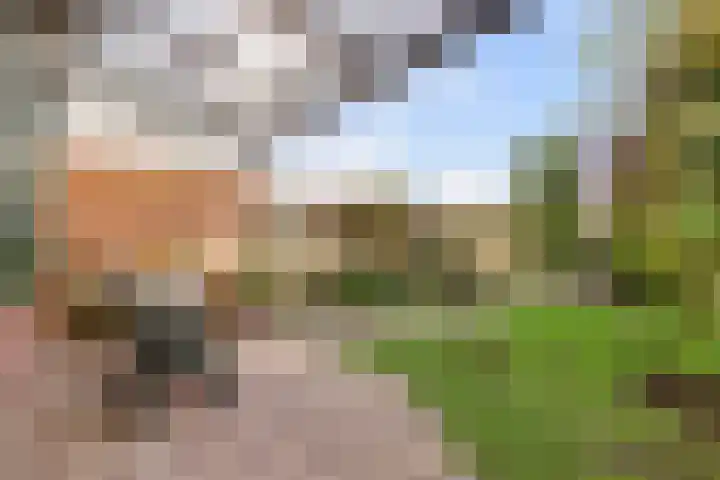 Buizerdlaan 66 Vianen thumbnail 38
