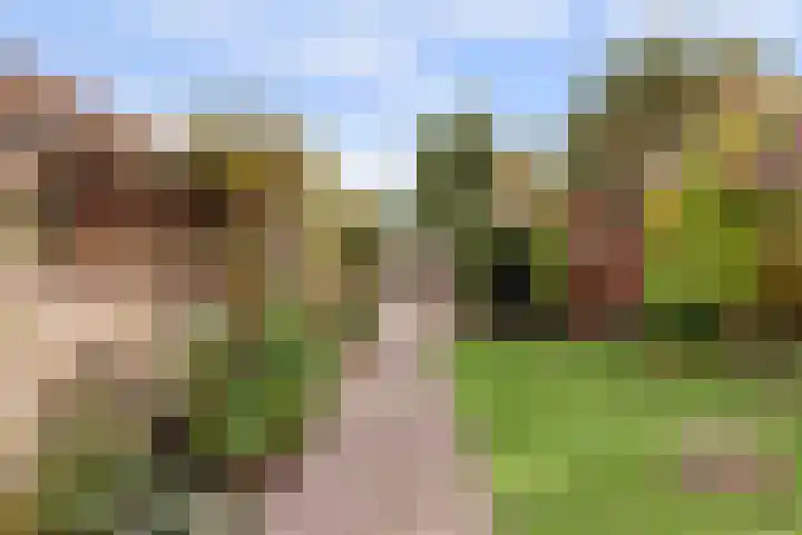 Buizerdlaan 66 Vianen thumbnail 39