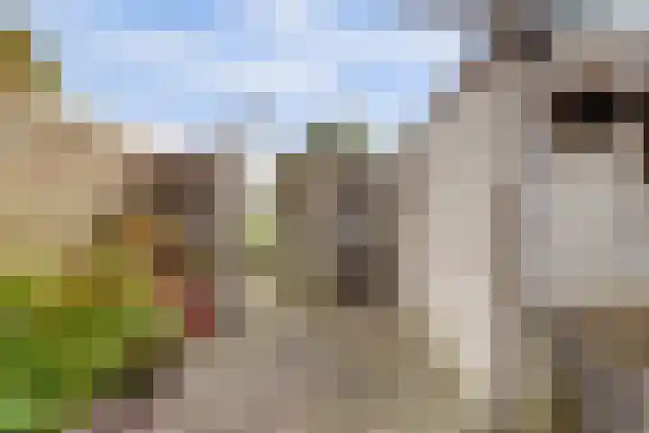 Buizerdlaan 66 Vianen thumbnail 40