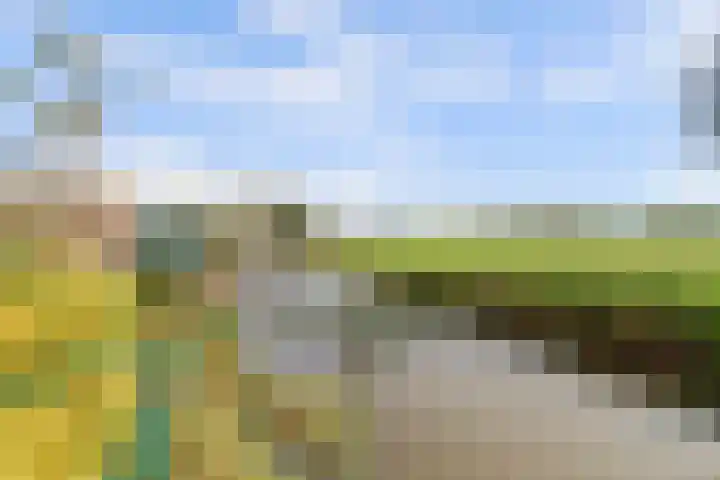 Buizerdlaan 66 Vianen thumbnail 42