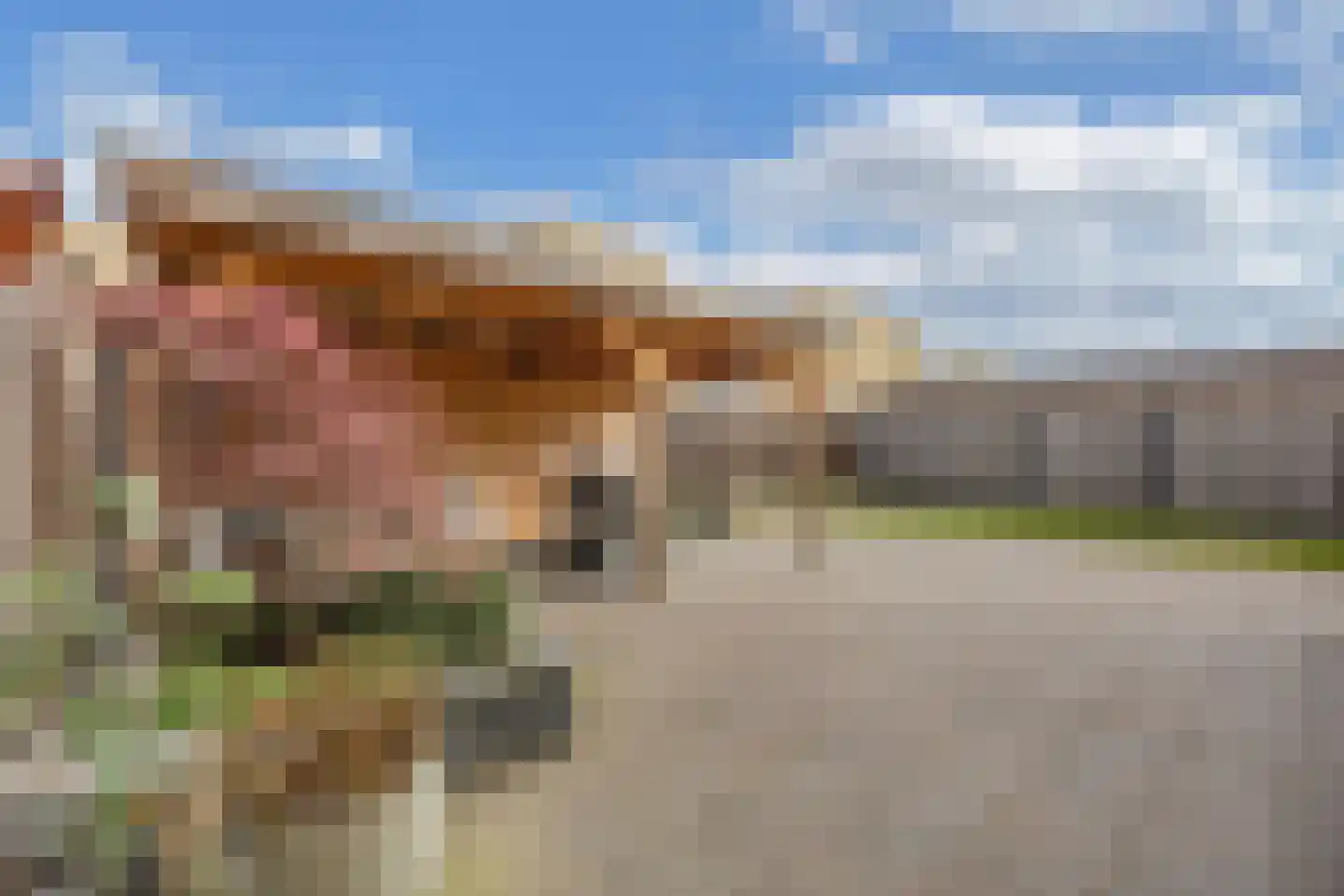 Buizerdlaan 9 Lelystad thumbnail 20