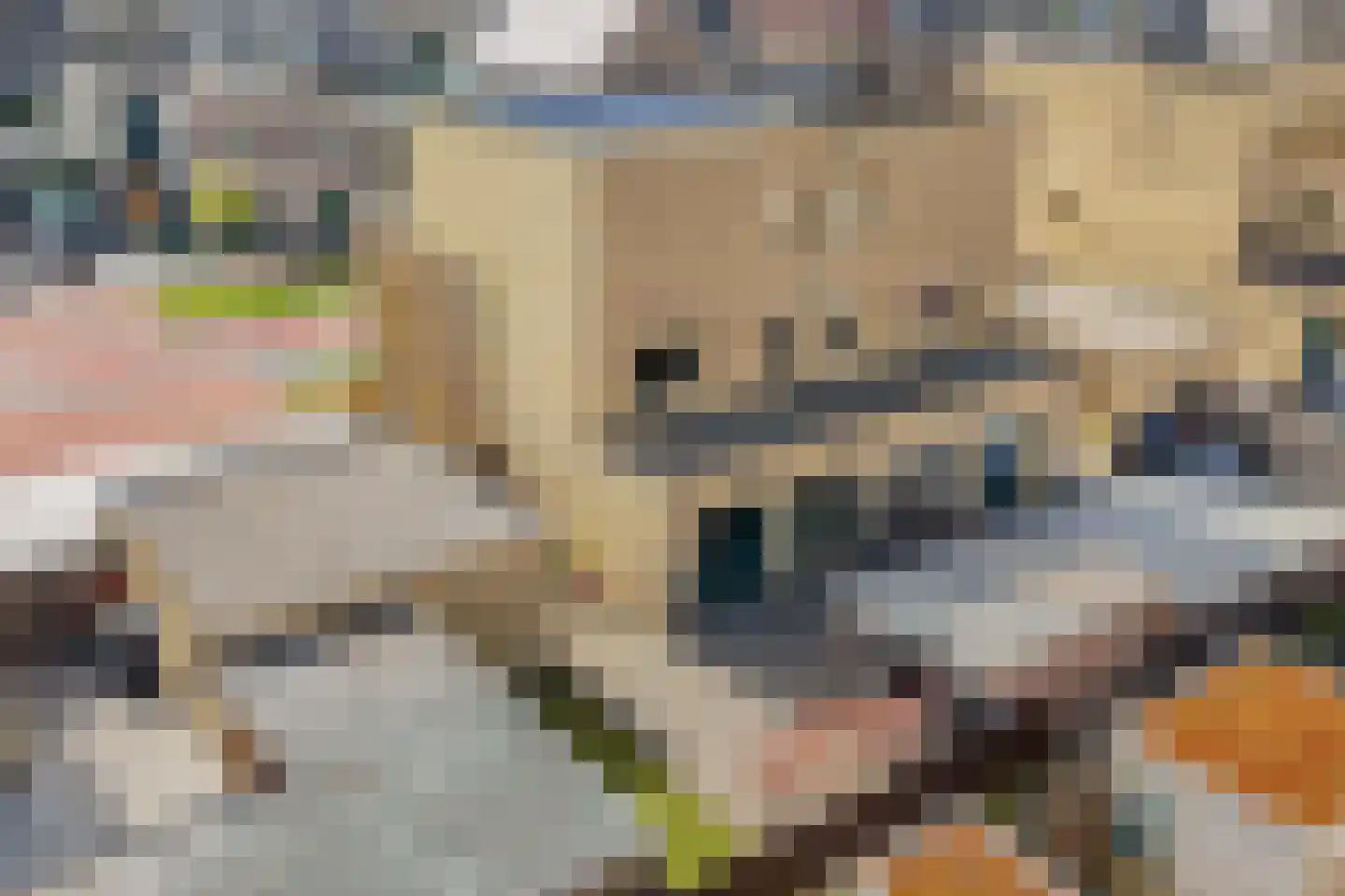 Buizerdlaan 9 Lelystad thumbnail 43