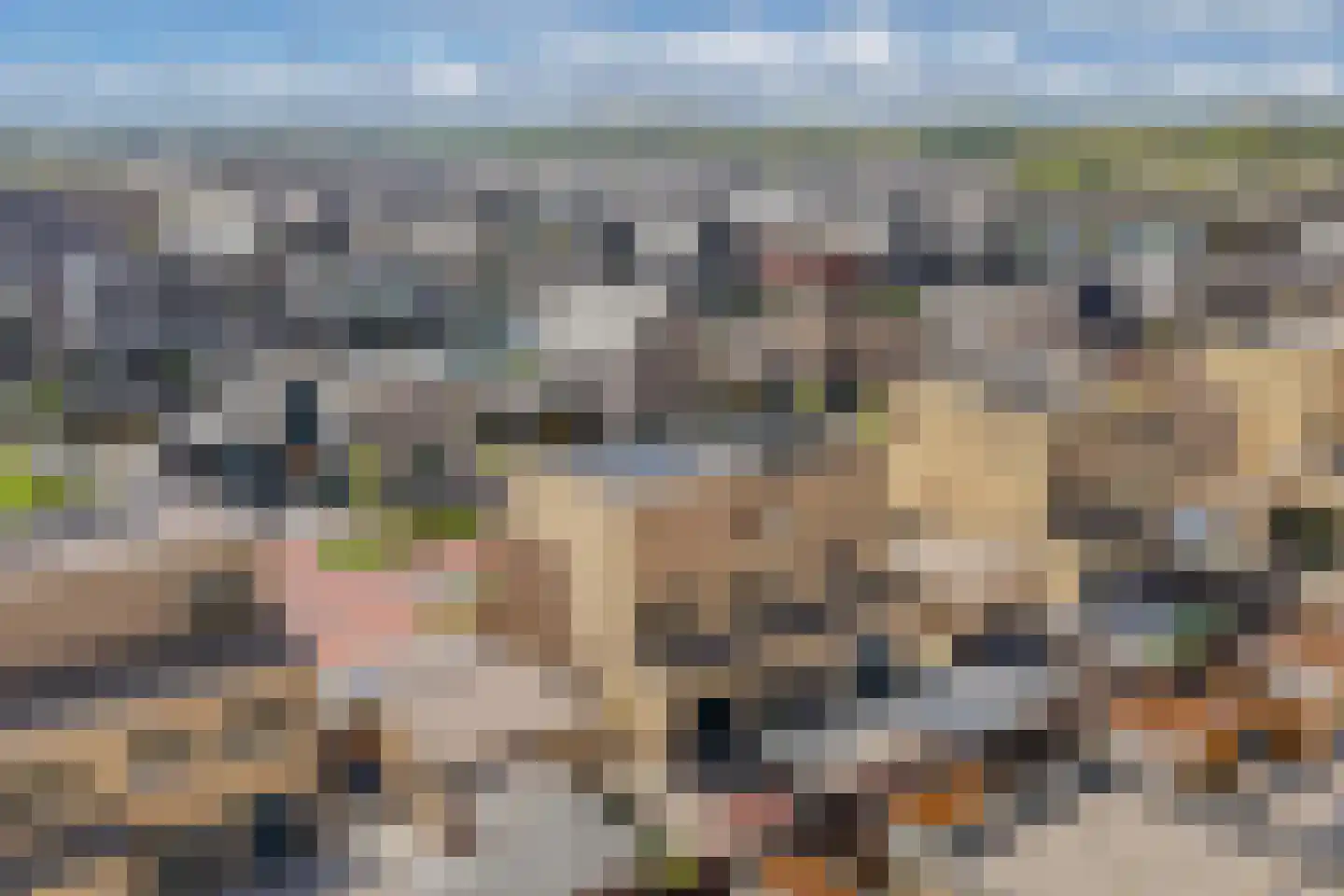 Buizerdlaan 9 Lelystad thumbnail 44