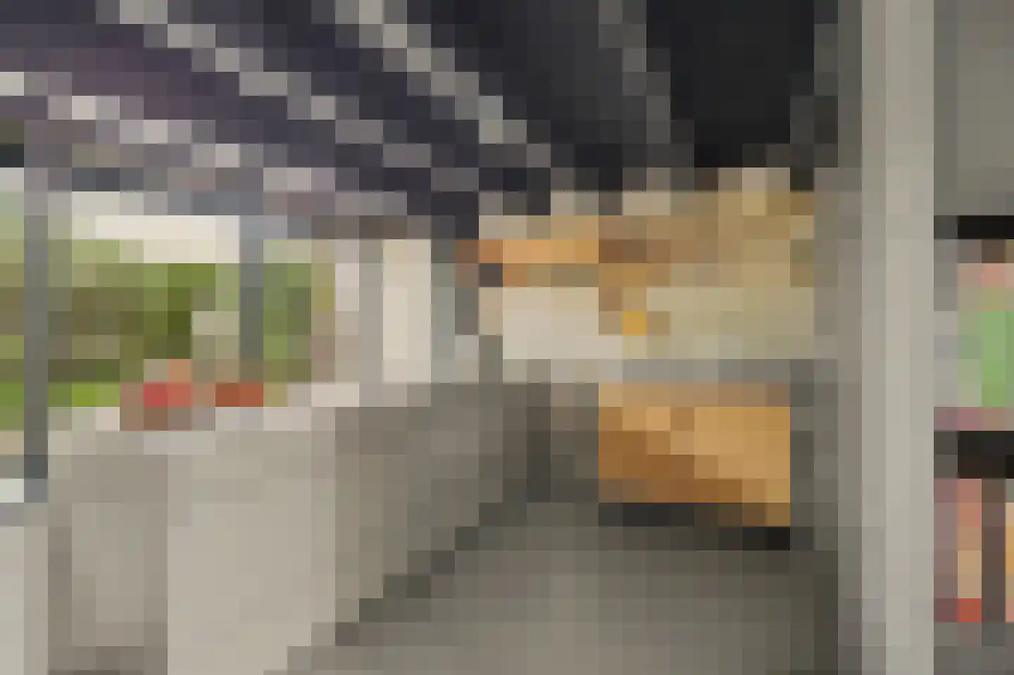 Buizerdstraat 12 Leerdam thumbnail 16