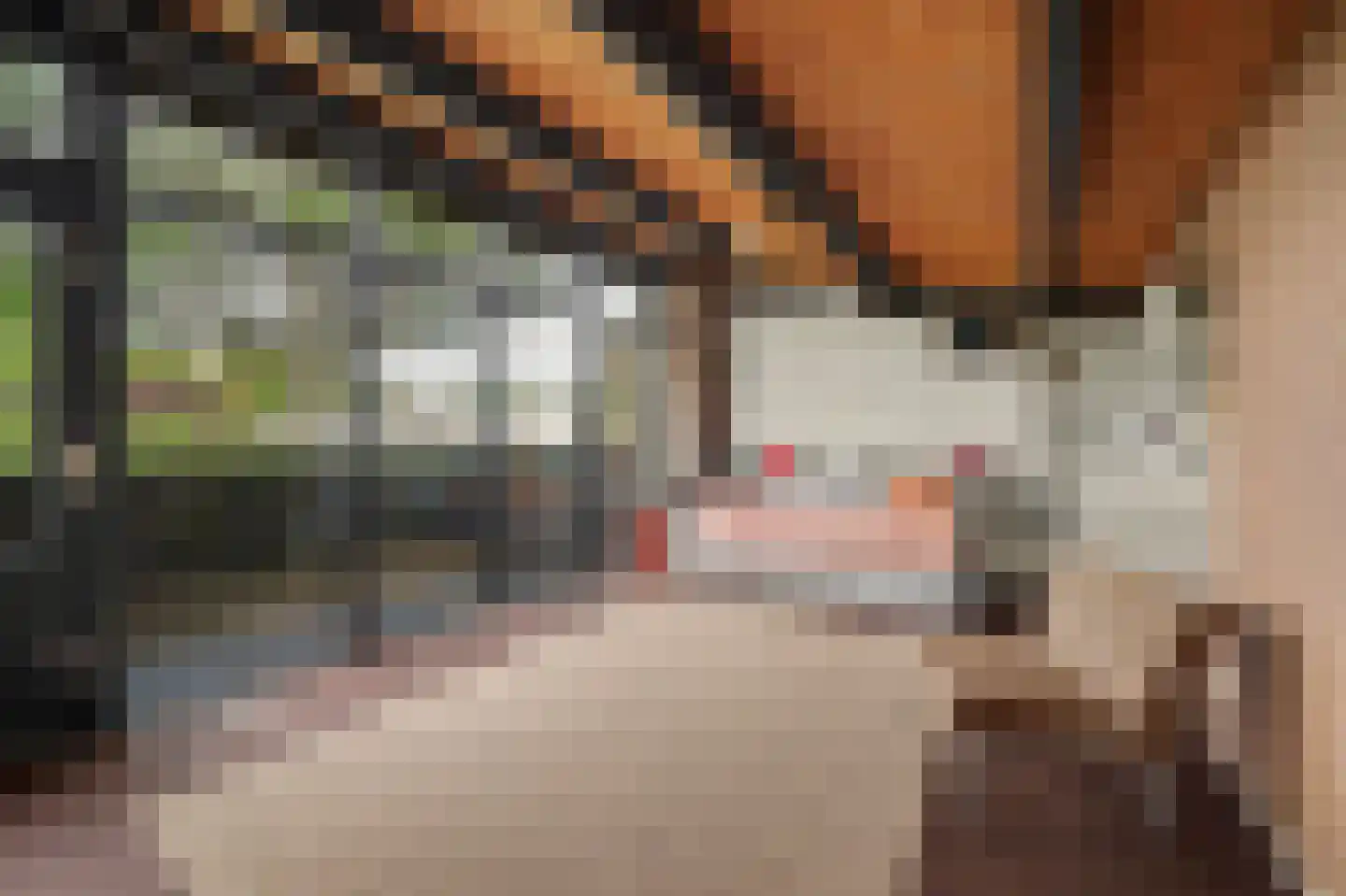 Buizerdstraat 12 Leerdam thumbnail 20