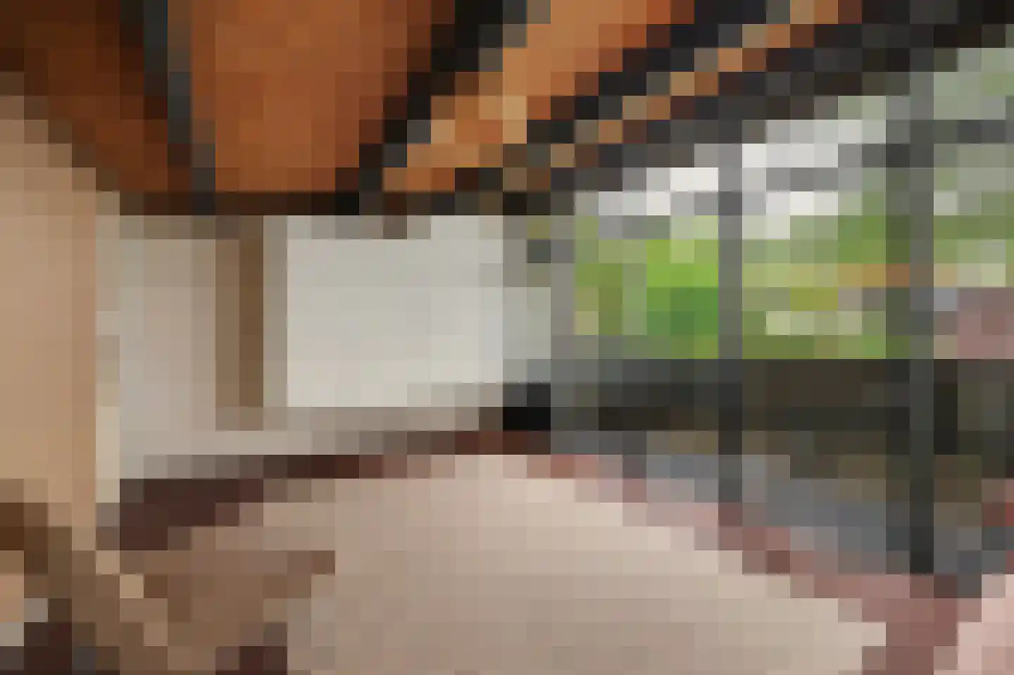 Buizerdstraat 12 Leerdam thumbnail 21