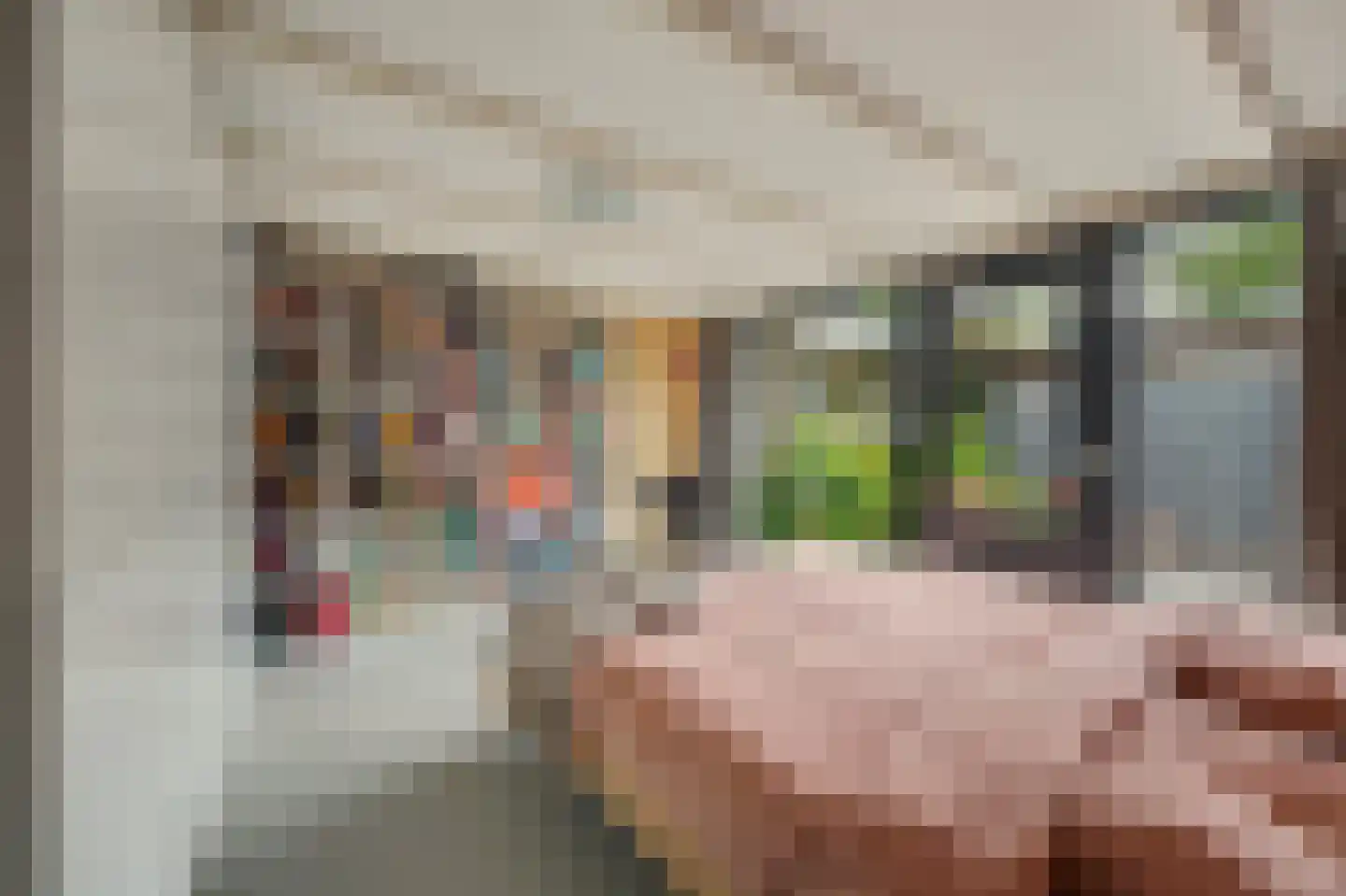 Buizerdstraat 12 Leerdam thumbnail 27
