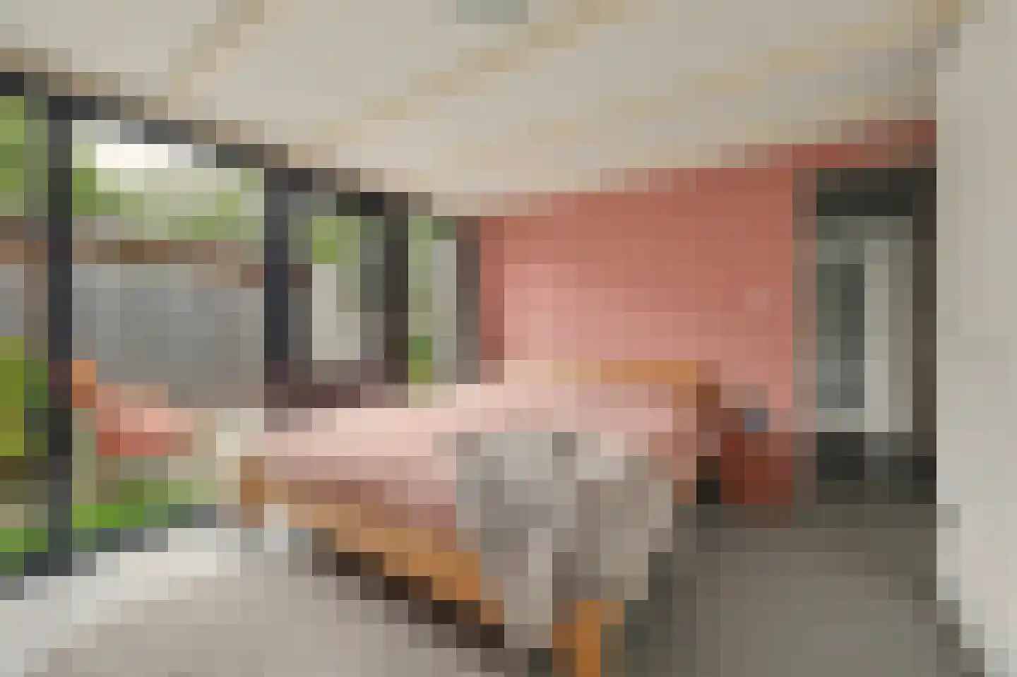 Buizerdstraat 12 Leerdam thumbnail 28