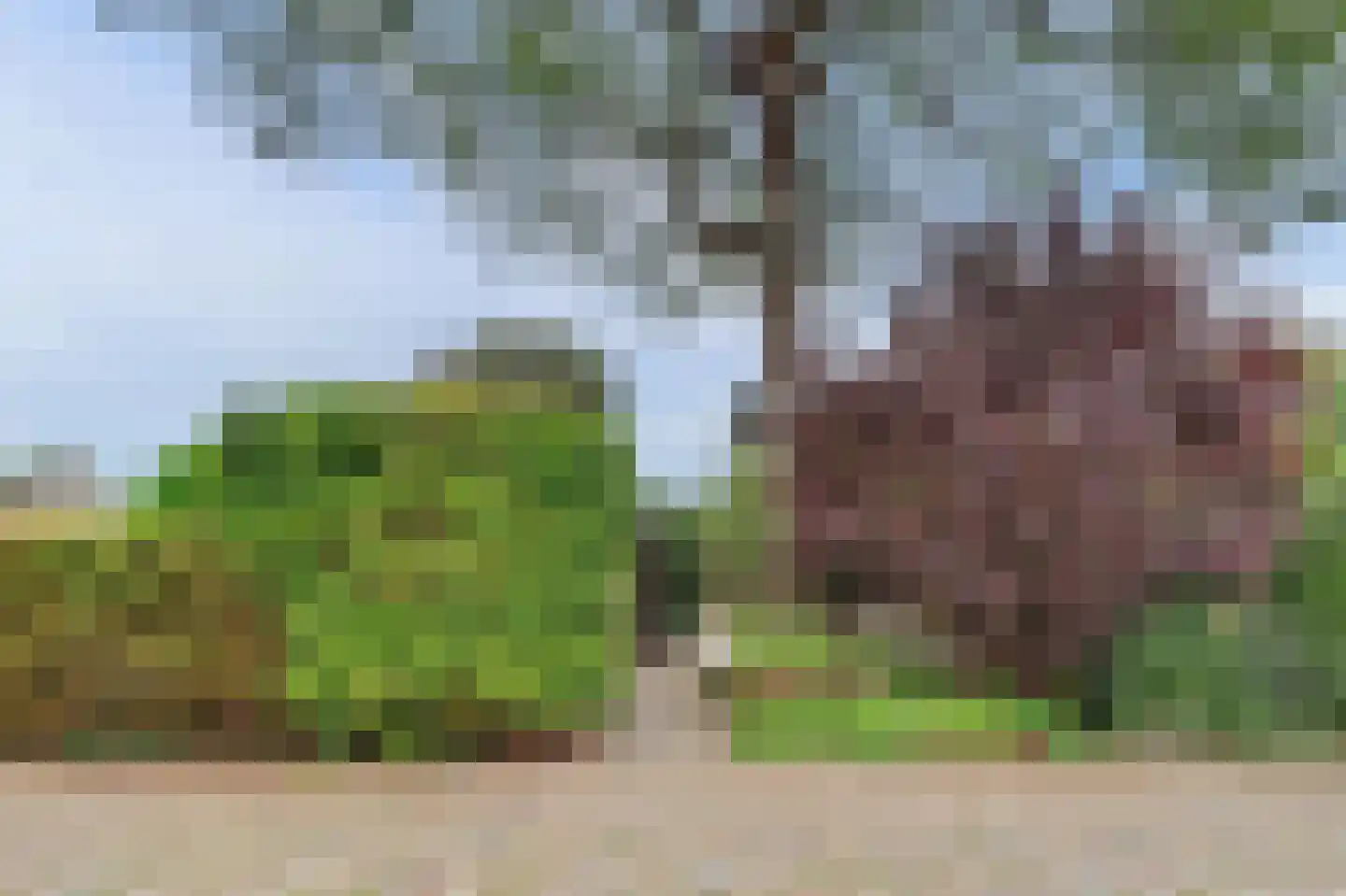 Buizerdstraat 12 Leerdam thumbnail 6