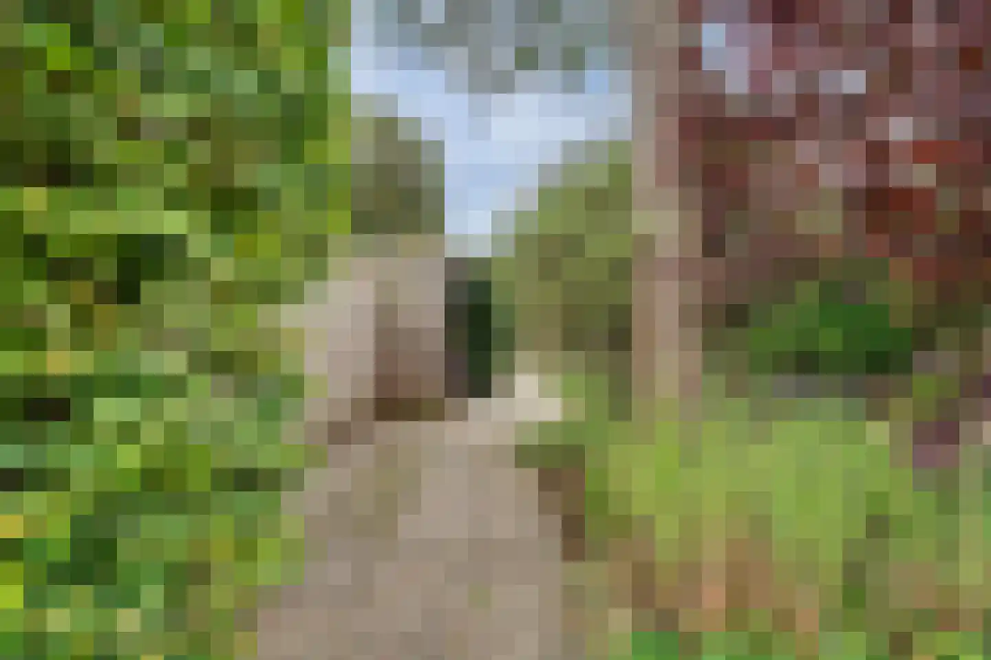 Buizerdstraat 12 Leerdam thumbnail 7