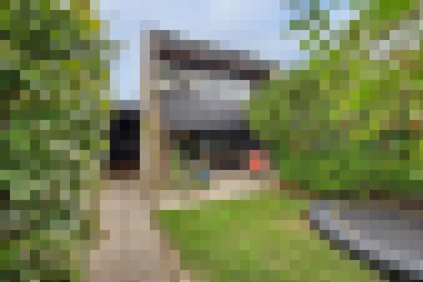 Buizerdstraat 12 Leerdam thumbnail 9