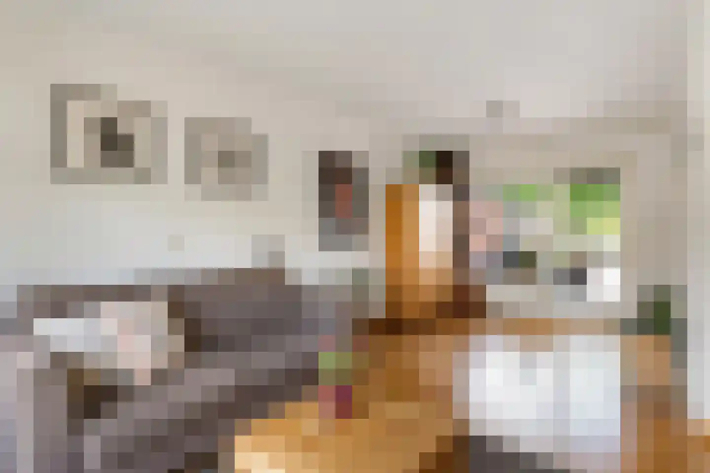 Buizerdstraat 12 Oldenzaal thumbnail 9