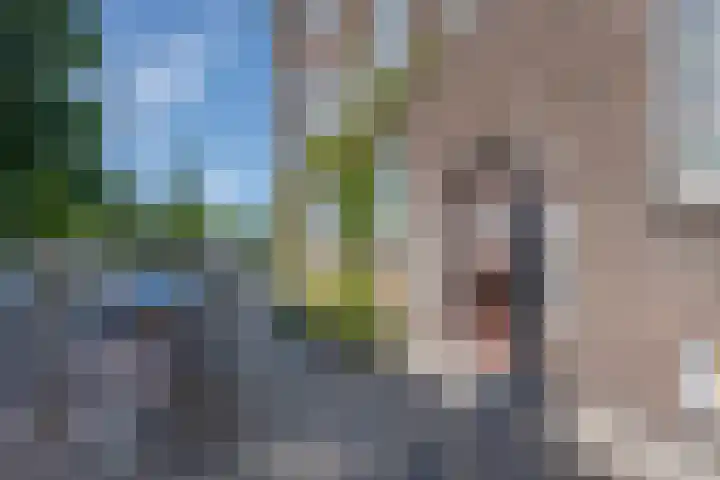 Buizerdstraat 13 C Rotterdam thumbnail 7