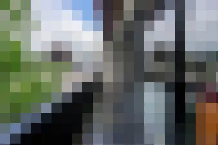 Buizerdstraat 14 Leerdam thumbnail 26