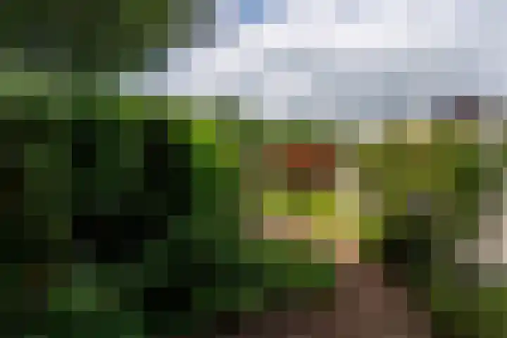 Buizerdstraat 14 Leerdam thumbnail 7