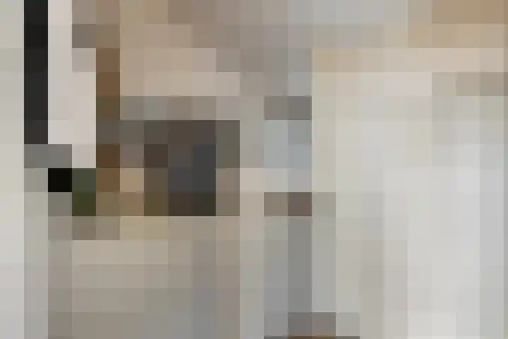 Buizerdstraat 16 Oldenzaal thumbnail 20