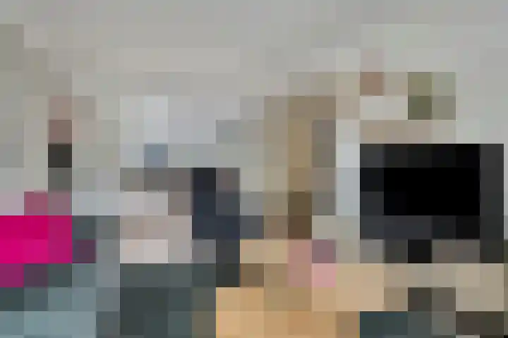 Buizerdstraat 16 Oldenzaal thumbnail 4