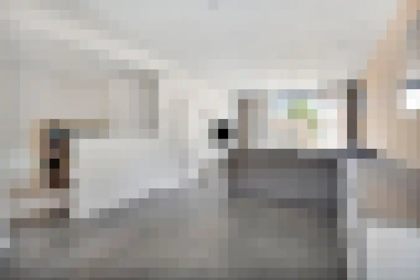 Buizerdstraat 17 Mill thumbnail 13