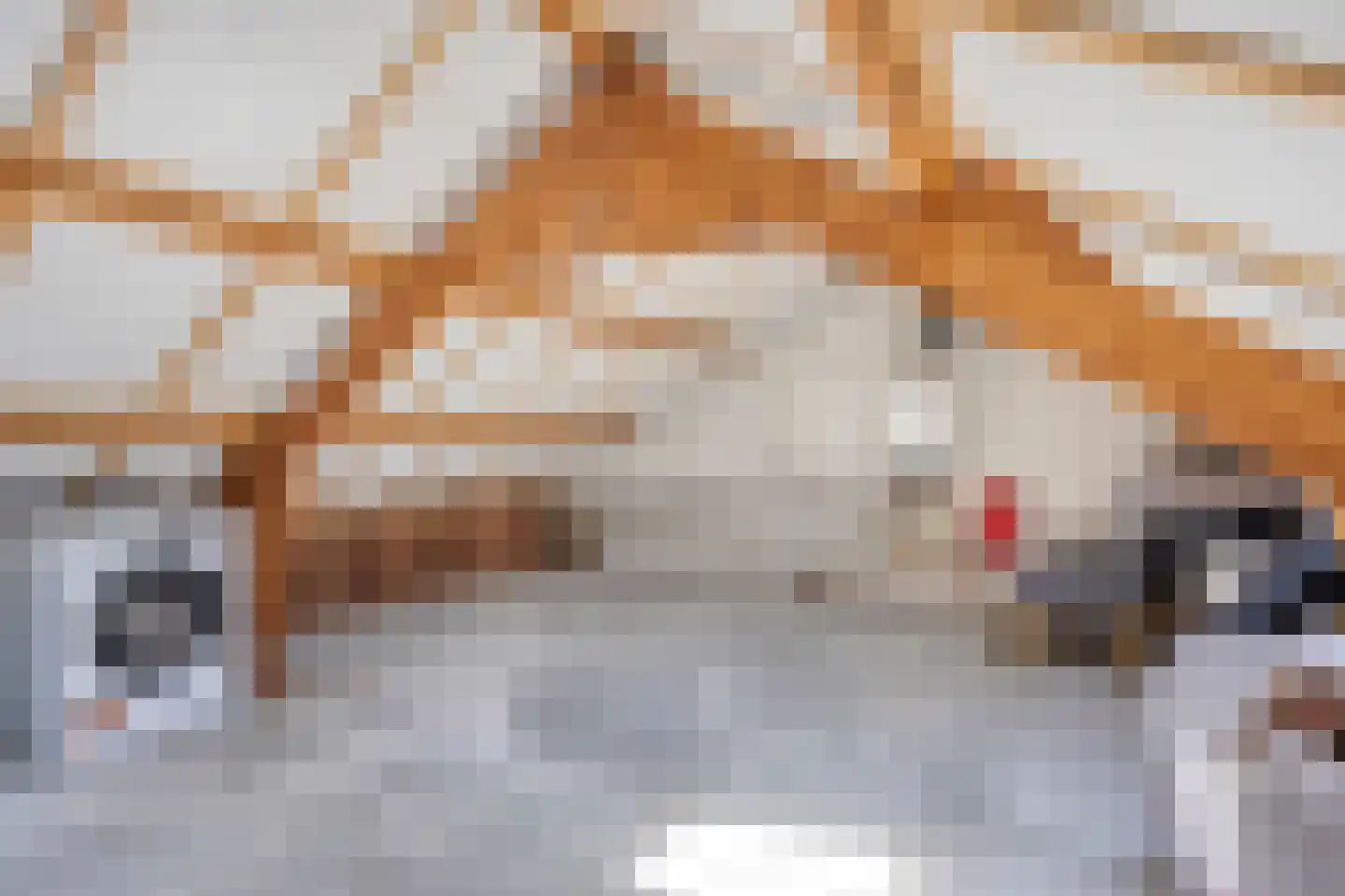 Buizerdstraat 17 Mill thumbnail 25