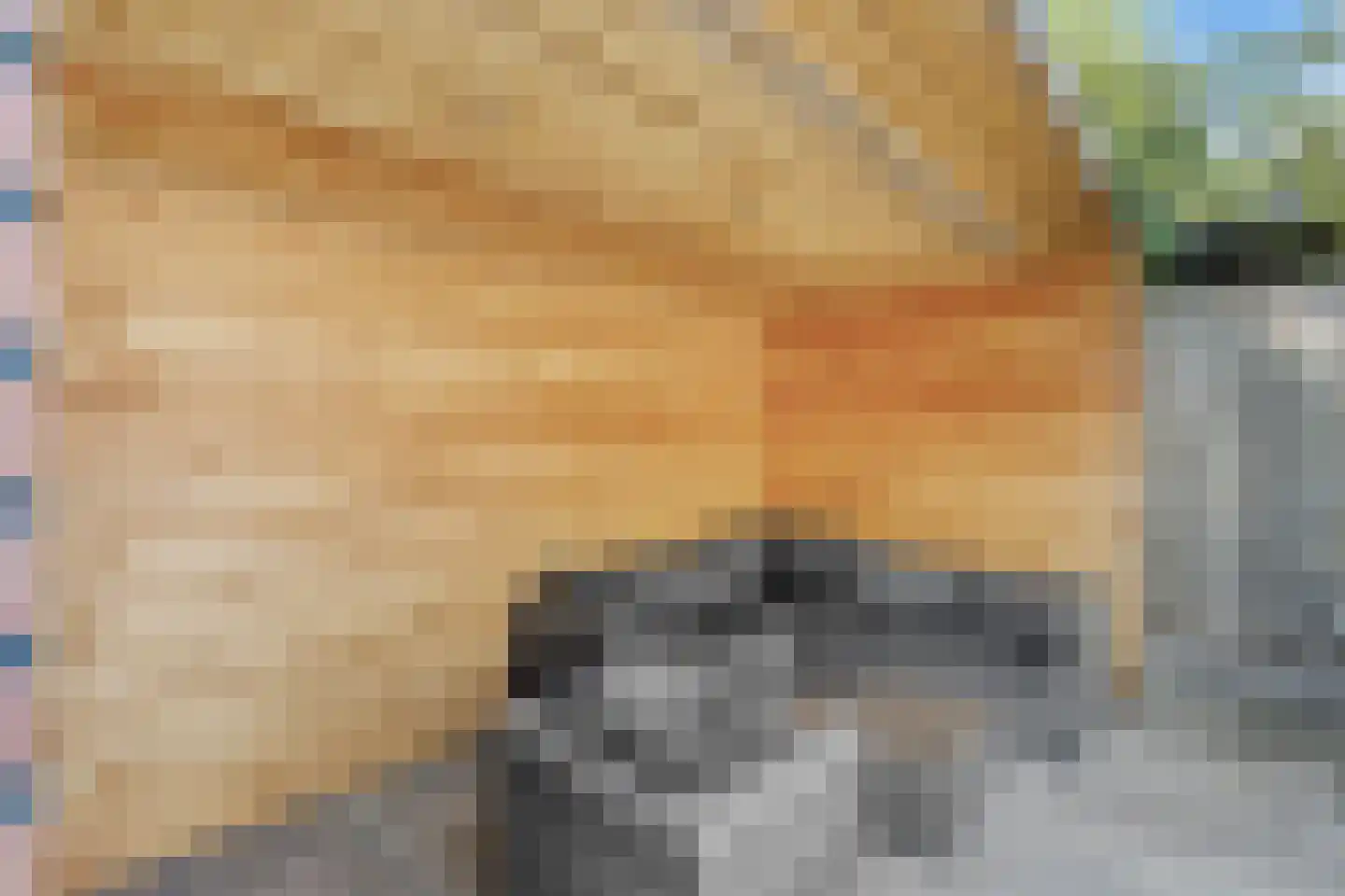 Buizerdstraat 17 Mill thumbnail 29