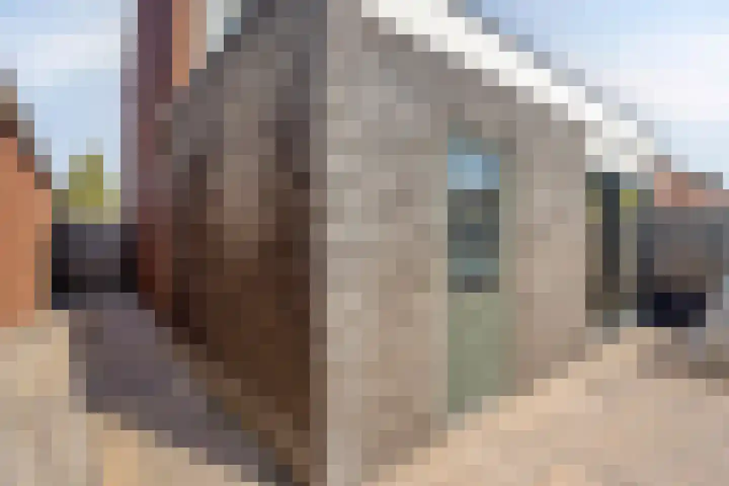 Buizerdstraat 17 Mill thumbnail 31