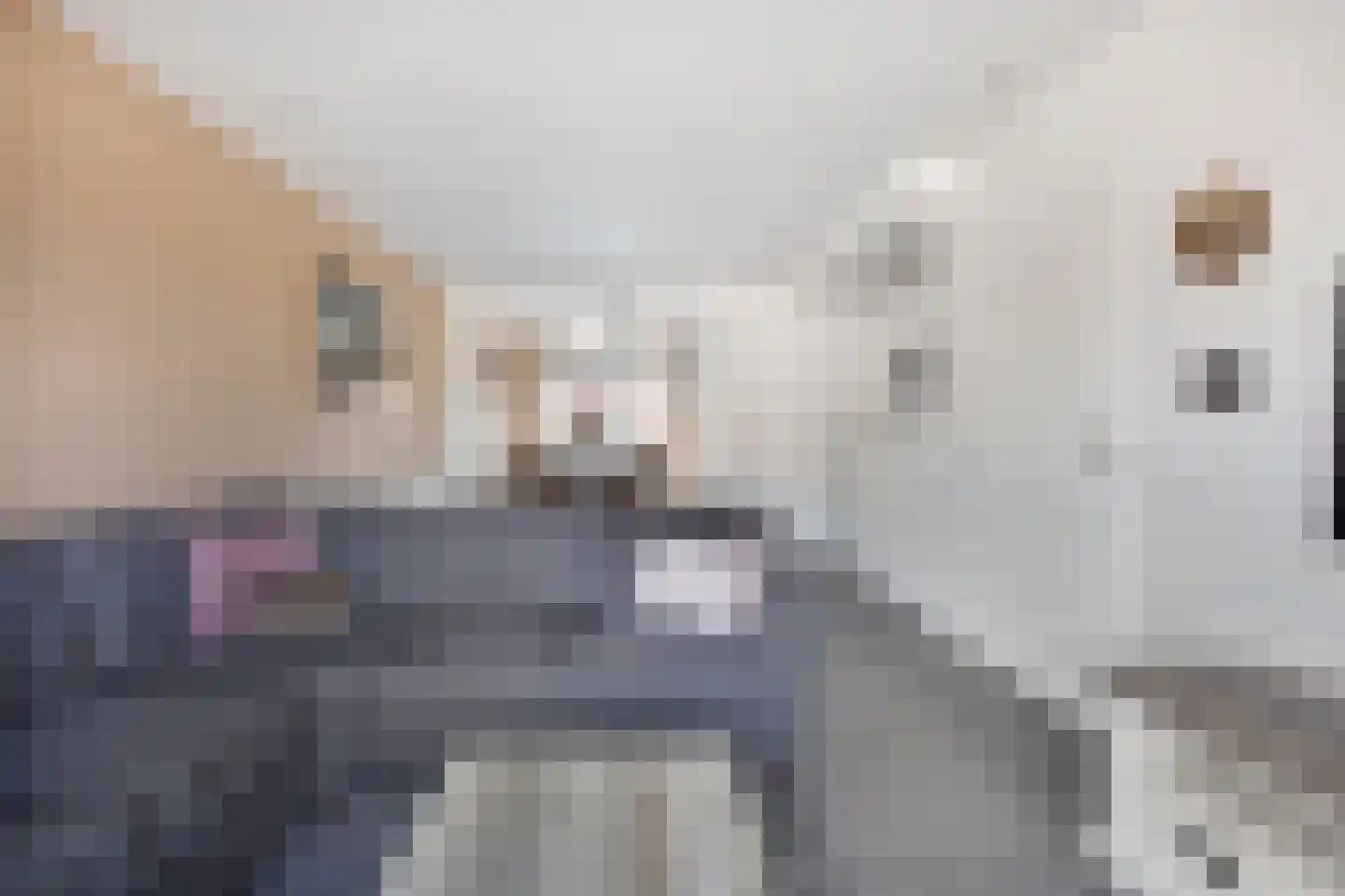 Buizerdstraat 17 Mill thumbnail 6