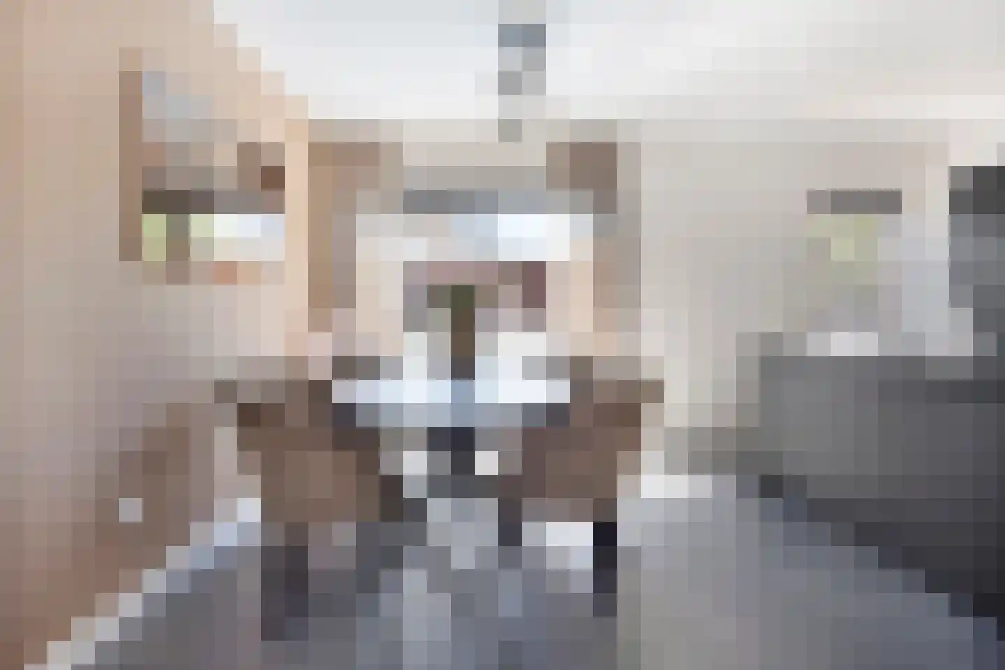 Buizerdstraat 17 Mill thumbnail 7