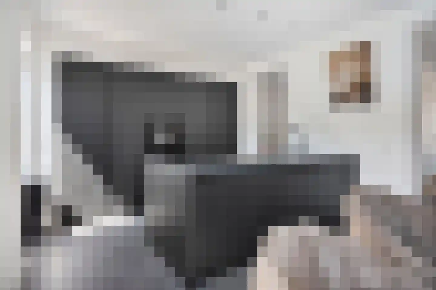 Buizerdstraat 17 Mill thumbnail 8