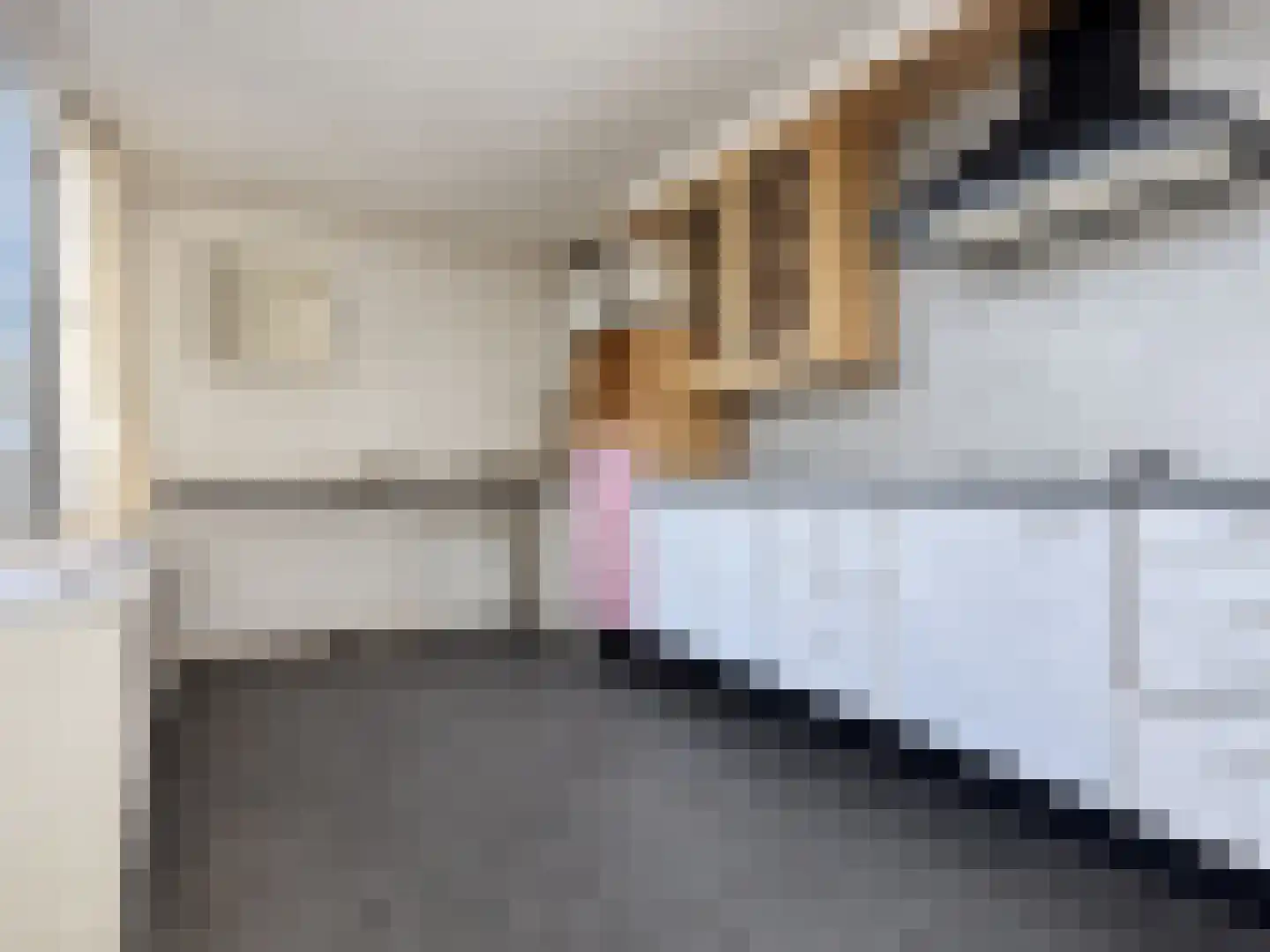 Buizerdstraat 19 Oss thumbnail 13
