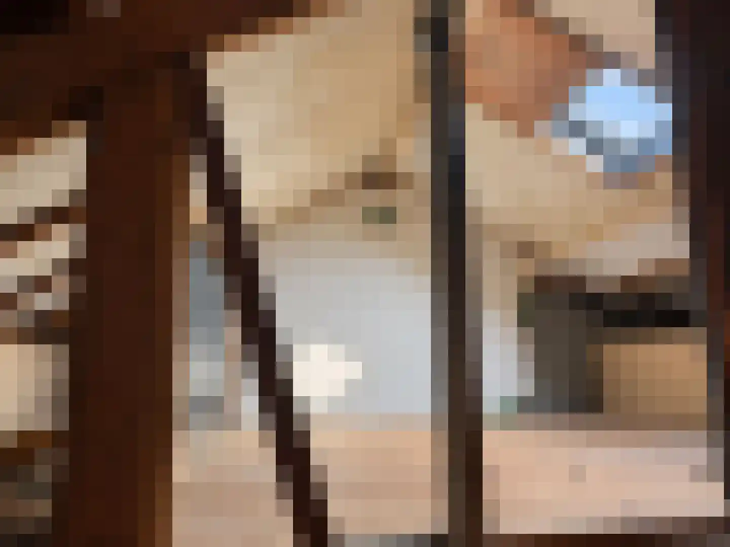Buizerdstraat 19 Oss thumbnail 23