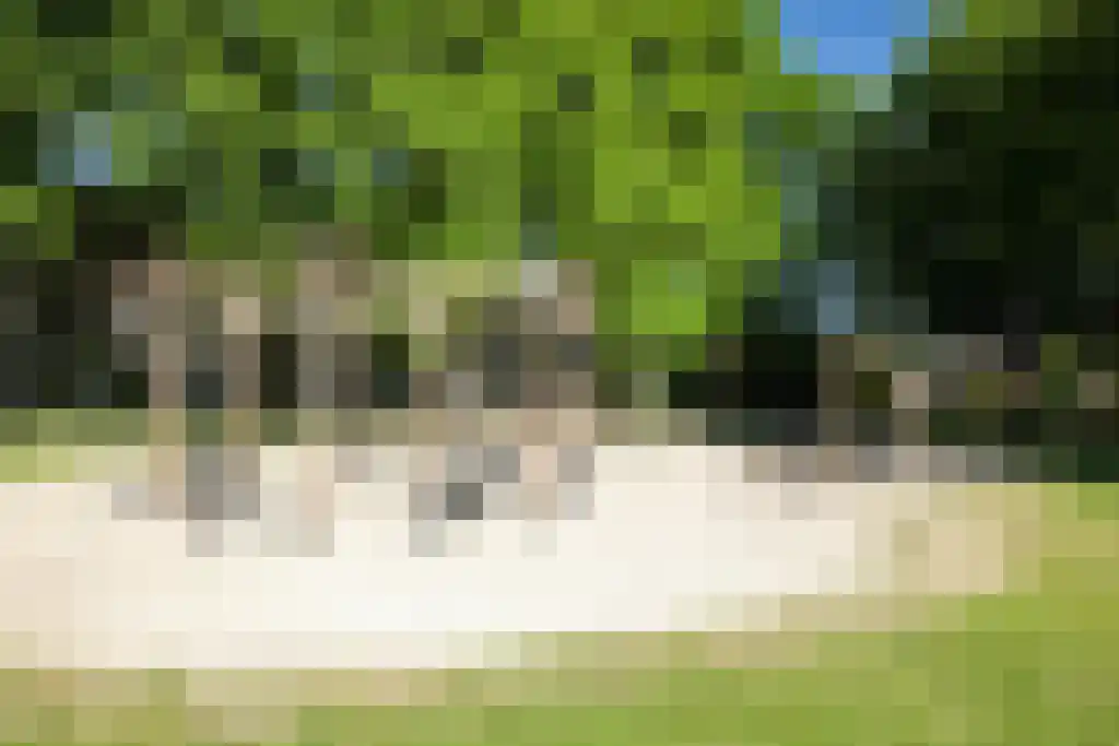 Buizerdstraat 19 Oss thumbnail 34