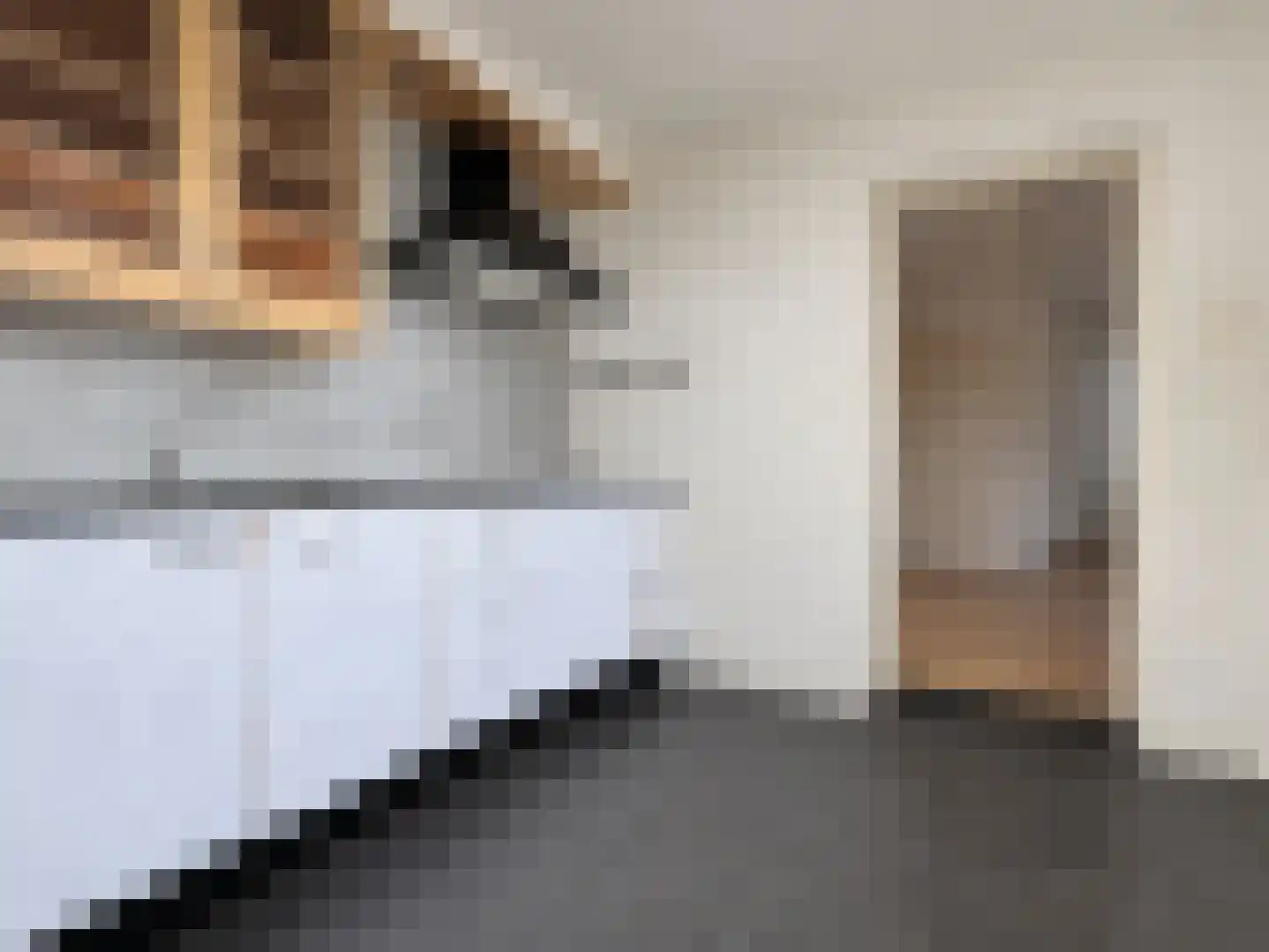 Buizerdstraat 19 Oss thumbnail 4