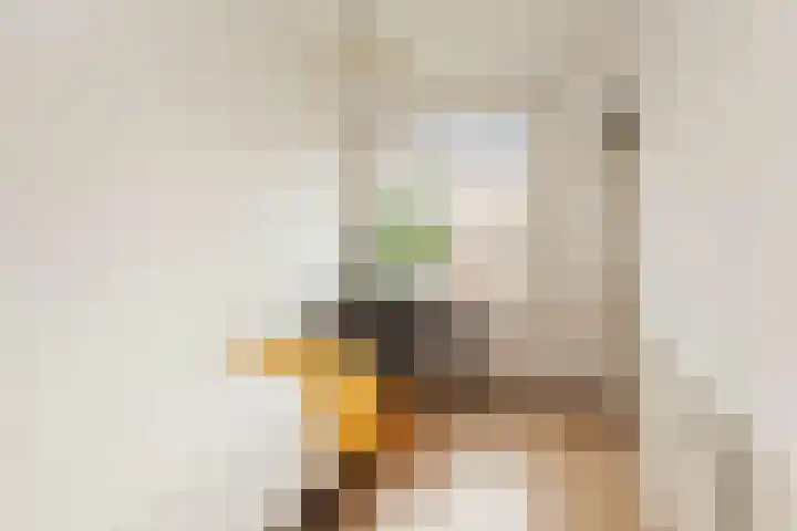 Buizerdstraat 2 B Rotterdam thumbnail 15