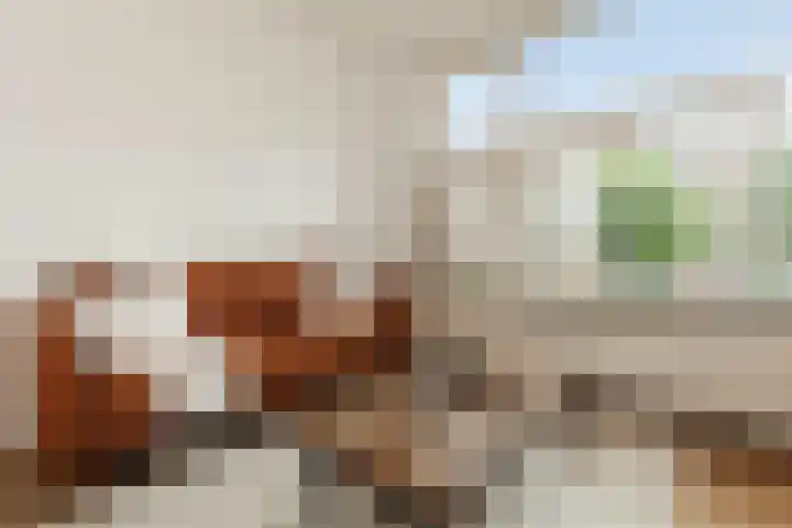 Buizerdstraat 2 B Rotterdam thumbnail 4