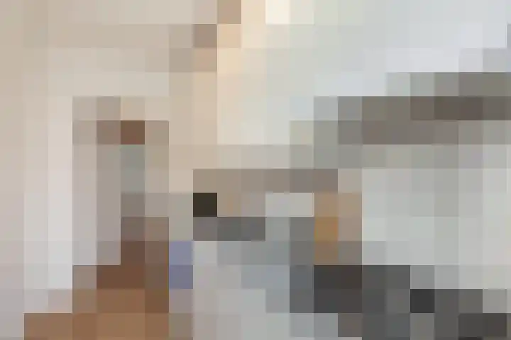 Buizerdstraat 2 B Rotterdam thumbnail 8
