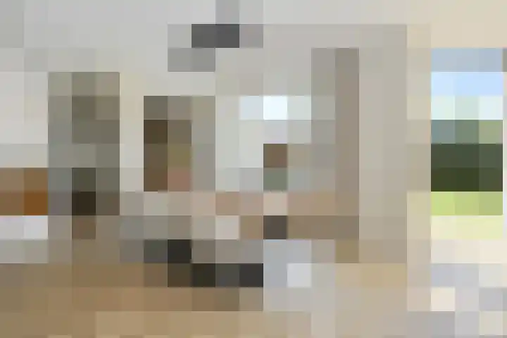 Buizerdstraat 2 Ospel thumbnail 11