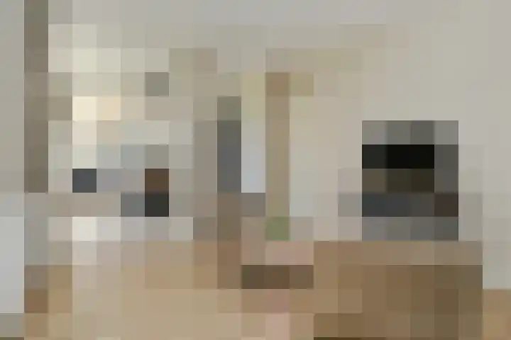 Buizerdstraat 2 Ospel thumbnail 13