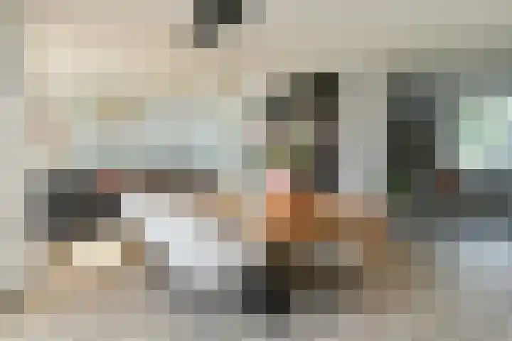 Buizerdstraat 2 Ospel thumbnail 14