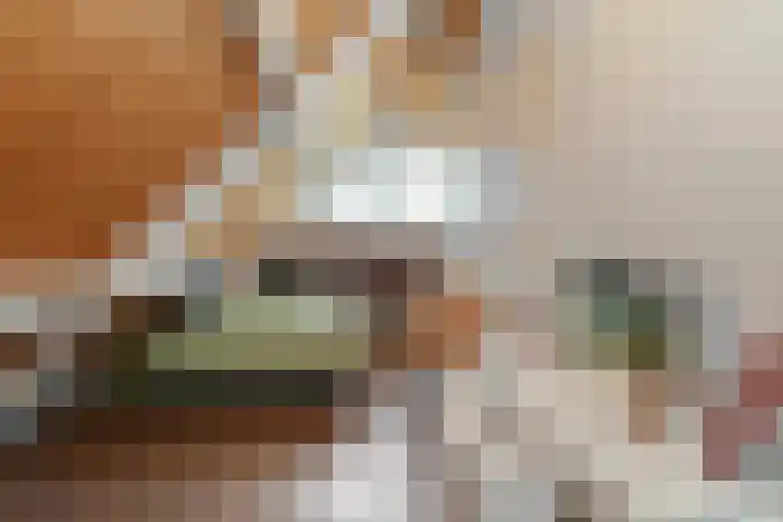 Buizerdstraat 2 Ospel thumbnail 30