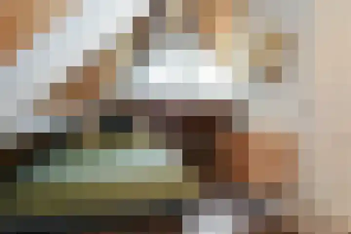 Buizerdstraat 2 Ospel thumbnail 31