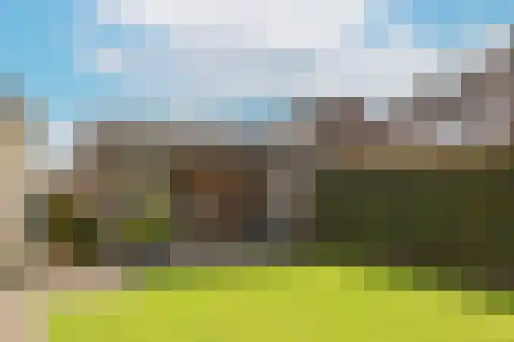 Buizerdstraat 2 Ospel thumbnail 41