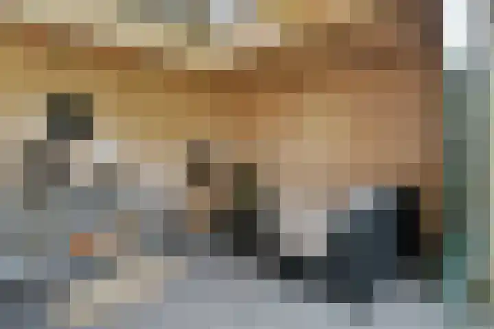 Buizerdstraat 2 Ospel thumbnail 43