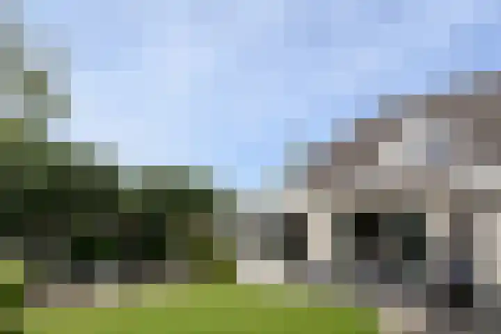 Buizerdstraat 2 Ospel thumbnail 44
