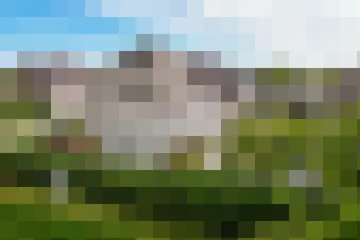 Buizerdstraat 2 Ospel thumbnail 46
