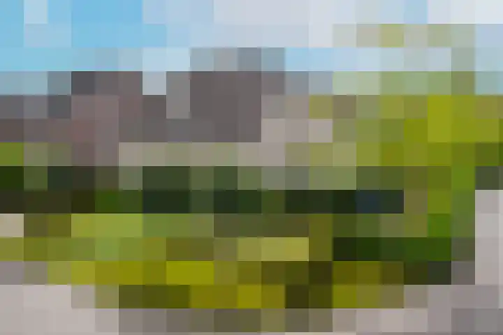 Buizerdstraat 2 Ospel thumbnail 51